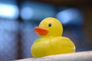 問題解決の思考法、ラバーダッキング法